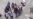 Liberados con fianza de 7 mil pesos familiares de presos del 11J detenidos en protesta frente a la Catedral (VIDEO)