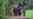 16x9 Image