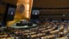 La Asamblea General de Naciones Unidas.