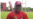 De Mayabeque a Los Astros, el rápido ascenso de Pedro León
