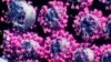 Un 3D scan de SARS-COV-2. Nanographics.at/Handout via REUTERS