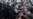 5 muertos durante el asalto al Capitolio en DC