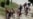 16x9 Image