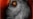16x9 Image