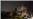 16x9 Image