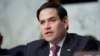 El senador republicano de la Florida Marco Rubio, durante una reunión del Comité de Inteligencia del Senado en enero del 2019 (Foto: Archivo).