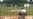 Los Miami Marlins interesados en cubano Yaisel Sierra