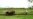 Triste panorama del campo cubano con pocos guajiros para cultivar la tierra
