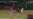 Yankees eliminan a los Indios