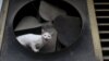 Un gato callejero. Los casos de rabia en Holguín se asocian a mordeduras y lesiones provocadas principalmente por este felino. (REUTERS/Alexandre Meneghini)