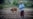 Campesinos cubanos están "casi en huelga", alertan agricultores