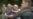 Cuba en la deshonrosa lista de países con periodistas encarcelados