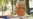 Sacerdotes cubanos escriben a Castro: "El tiempo se acaba, apremia abrir la puerta"
