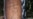 Tatuajes que revelan otra Cuba