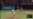 Jonronean Aledmys, Yasmani y Yonder; Iglesias sale con ponche de bases llenas