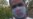 "Puedes amanecer con la boca llena de moscas": la amenaza contra otro periodista en Cuba