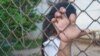 En medio de la crisis económica, muchos menores se ven obligados a trabajar en Cuba para ayudar a sus familias. (Foto: Envato)